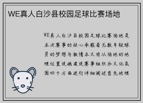 WE真人白沙县校园足球比赛场地